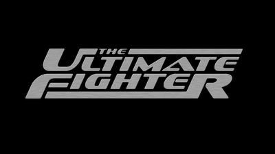 Серія 10, Ultimate Fighter (2005)