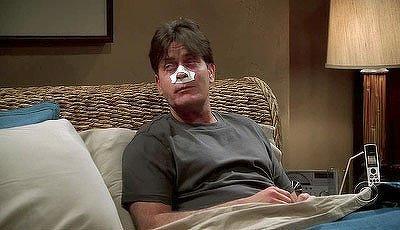 Episode 15, Two and a Half Men (2003)