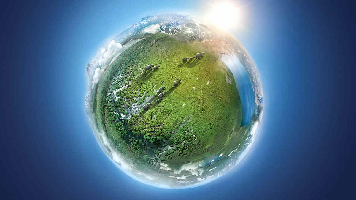 Планета Земля 2(Planet Earth II)
