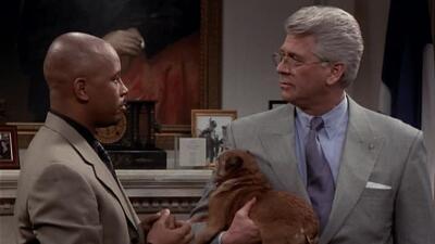 Episode 24, Spin City (1996)