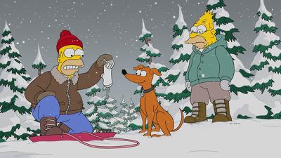 "The Simpsons" 29 season 9-th episode