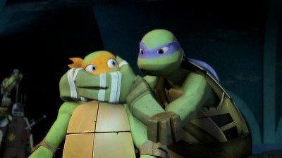 "Teenage Mutant Ninja Turtles" 1 season 15-th episode