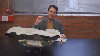 "Tosh.0" 11 season 2-th episode