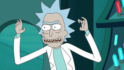 "Rick and Morty" 3 season 8-th episode
