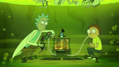 "Rick and Morty" 4 season 8-th episode