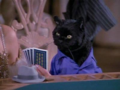 "Sabrina The Teenage Witch" 3 season 7-th episode