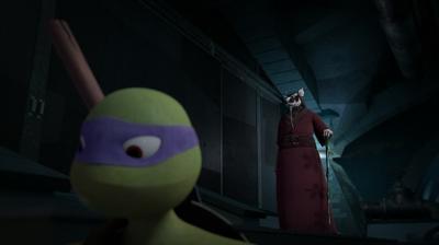 Episode 20, Teenage Mutant Ninja Turtles (2012)