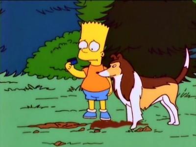 "The Simpsons" 8 season 20-th episode