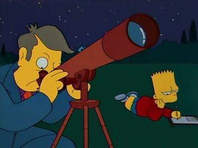 "The Simpsons" 6 season 14-th episode