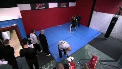 Ultimate Fighter (2005), s9