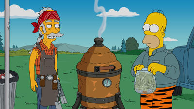 "The Simpsons" 27 season 2-th episode