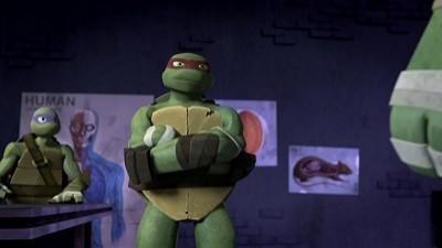 "Teenage Mutant Ninja Turtles" 1 season 14-th episode