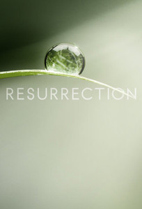 Resurrection (2014)