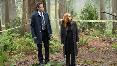 "The X-Files" 11 season 6-th episode