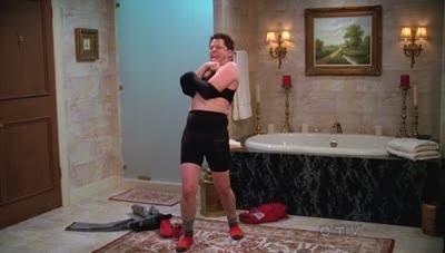 "Two and a Half Men" 10 season 22-th episode