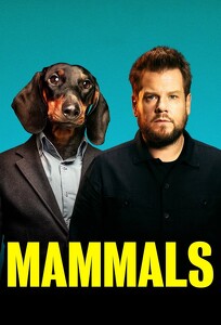 ссавці / Mammals (2022)