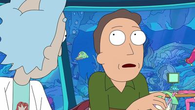 "Rick and Morty" 3 season 5-th episode