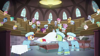 Серия 23, Мой маленький пони: Дружба - это чудо / My Little Pony: Friendship is Magic (2010)