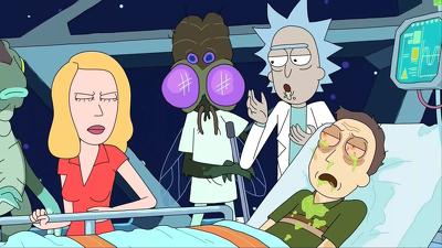 "Rick and Morty" 2 season 8-th episode