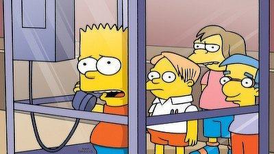 "The Simpsons" 7 season 20-th episode