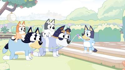 "Bluey" 1 season 9-th episode