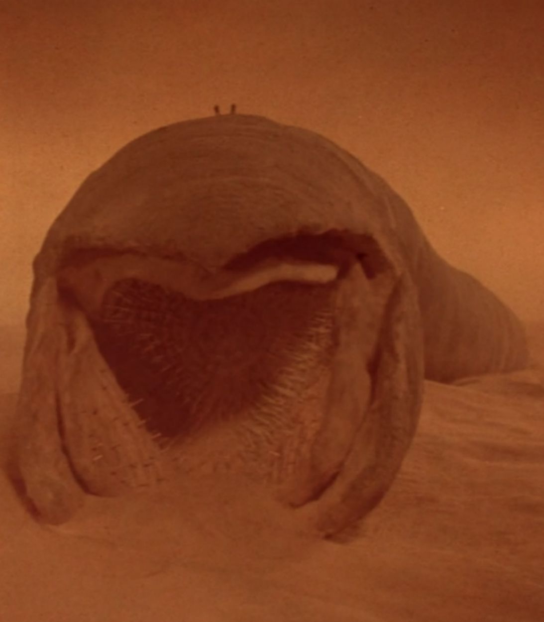 Это существо называется песчаный червь. Оно обитает на планете Арракис.