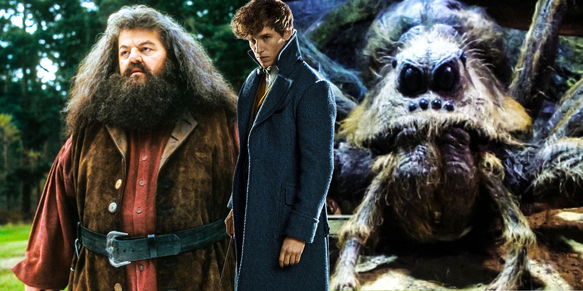 Фантастические твари объясняют, как Хагрид получил Арагога - объяснение теории Гарри Поттера